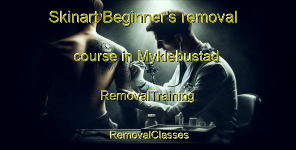 Skinart Beginner's removal course in Myklebustad | RemovalTraining | RemovalClasses | SkinartTraining-Norway