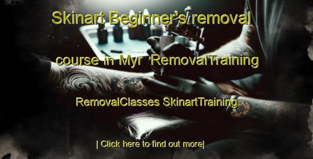 Skinart Beginner's removal course in Myr | #RemovalTraining #RemovalClasses #SkinartTraining-Norway