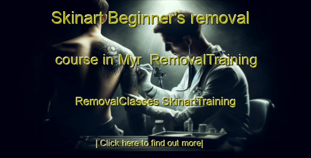 Skinart Beginner's removal course in Myr | #RemovalTraining #RemovalClasses #SkinartTraining-Norway