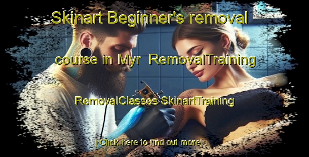 Skinart Beginner's removal course in Myr | #RemovalTraining #RemovalClasses #SkinartTraining-Norway