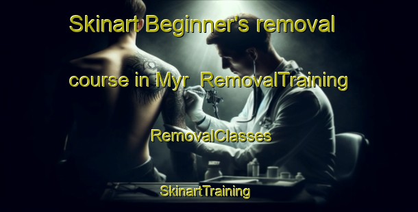 Skinart Beginner's removal course in Myr | RemovalTraining | RemovalClasses | SkinartTraining-Norway
