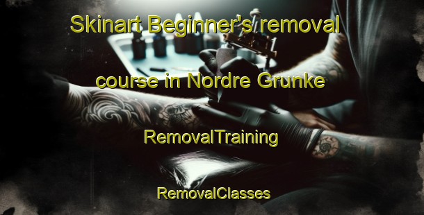 Skinart Beginner's removal course in Nordre Grunke | RemovalTraining | RemovalClasses | SkinartTraining-Norway