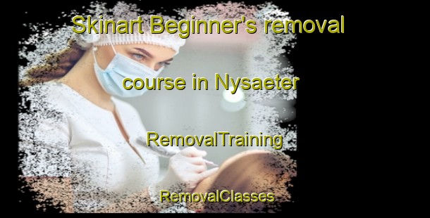 Skinart Beginner's removal course in Nysaeter | RemovalTraining | RemovalClasses | SkinartTraining-Norway