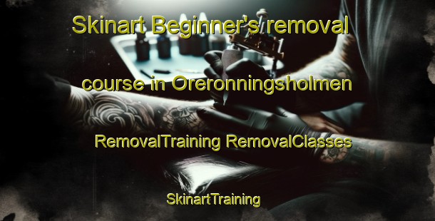 Skinart Beginner's removal course in Oreronningsholmen | #RemovalTraining #RemovalClasses #SkinartTraining-Norway