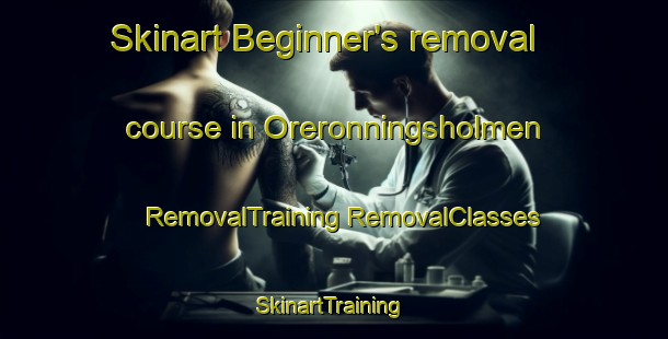 Skinart Beginner's removal course in Oreronningsholmen | #RemovalTraining #RemovalClasses #SkinartTraining-Norway