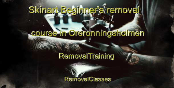 Skinart Beginner's removal course in Oreronningsholmen | RemovalTraining | RemovalClasses | SkinartTraining-Norway