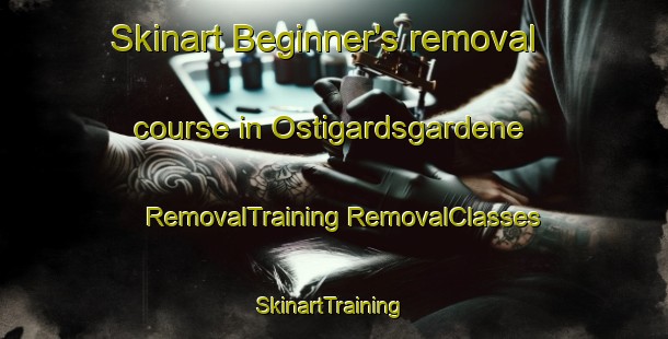 Skinart Beginner's removal course in Ostigardsgardene | #RemovalTraining #RemovalClasses #SkinartTraining-Norway