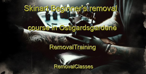 Skinart Beginner's removal course in Ostigardsgardene | RemovalTraining | RemovalClasses | SkinartTraining-Norway