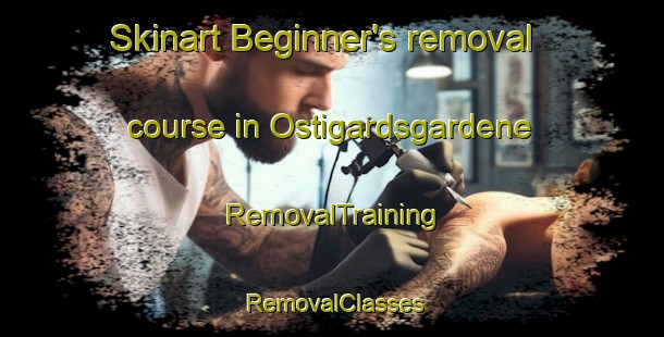 Skinart Beginner's removal course in Ostigardsgardene | RemovalTraining | RemovalClasses | SkinartTraining-Norway