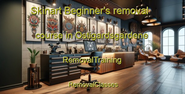 Skinart Beginner's removal course in Ostigardsgardene | RemovalTraining | RemovalClasses | SkinartTraining-Norway
