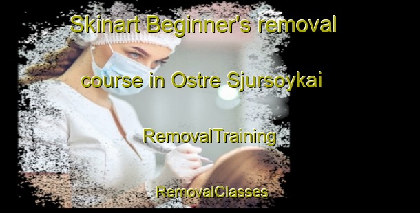 Skinart Beginner's removal course in Ostre Sjursoykai | RemovalTraining | RemovalClasses | SkinartTraining-Norway