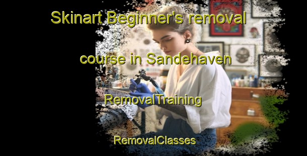Skinart Beginner's removal course in Sandehaven | RemovalTraining | RemovalClasses | SkinartTraining-Norway