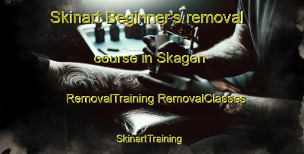 Skinart Beginner's removal course in Skagen | #RemovalTraining #RemovalClasses #SkinartTraining-Norway