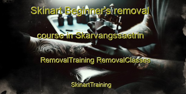 Skinart Beginner's removal course in Skarvangssaetrin | #RemovalTraining #RemovalClasses #SkinartTraining-Norway