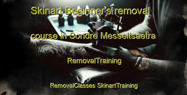 Skinart Beginner's removal course in Sondre Messeltsaetra | #RemovalTraining #RemovalClasses #SkinartTraining-Norway