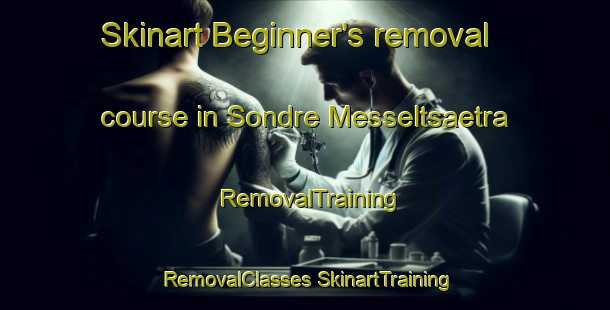 Skinart Beginner's removal course in Sondre Messeltsaetra | #RemovalTraining #RemovalClasses #SkinartTraining-Norway