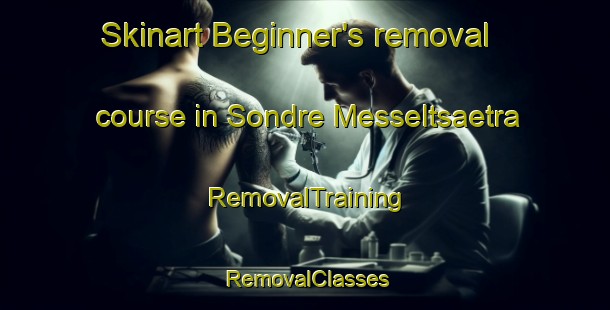 Skinart Beginner's removal course in Sondre Messeltsaetra | RemovalTraining | RemovalClasses | SkinartTraining-Norway