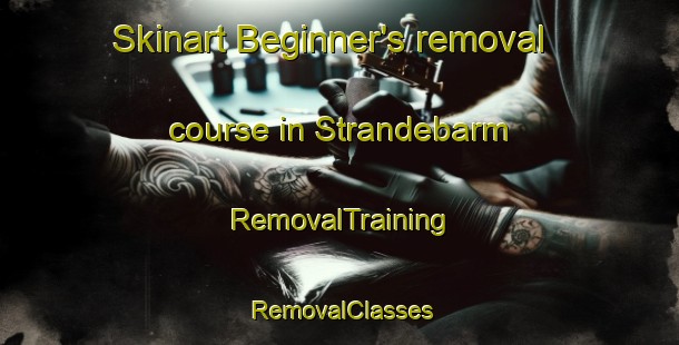 Skinart Beginner's removal course in Strandebarm | RemovalTraining | RemovalClasses | SkinartTraining-Norway