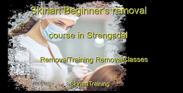 Skinart Beginner's removal course in Strengsdal | #RemovalTraining #RemovalClasses #SkinartTraining-Norway