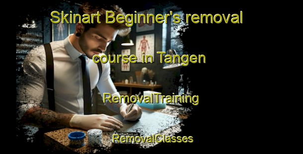 Skinart Beginner's removal course in Tangen | RemovalTraining | RemovalClasses | SkinartTraining-Norway