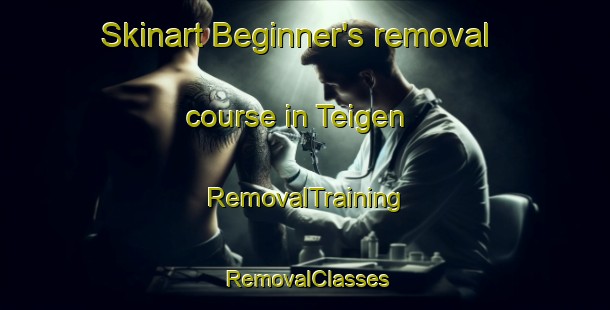 Skinart Beginner's removal course in Teigen | RemovalTraining | RemovalClasses | SkinartTraining-Norway