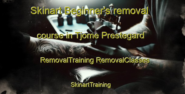 Skinart Beginner's removal course in Tjome Prestegard | #RemovalTraining #RemovalClasses #SkinartTraining-Norway