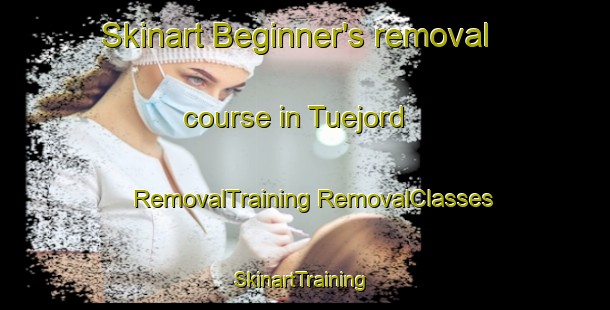 Skinart Beginner's removal course in Tuejord | #RemovalTraining #RemovalClasses #SkinartTraining-Norway