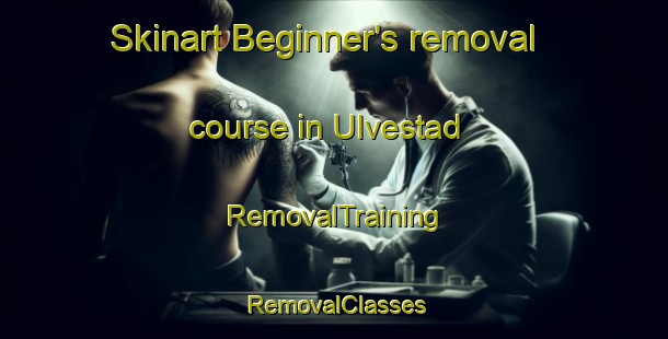 Skinart Beginner's removal course in Ulvestad | RemovalTraining | RemovalClasses | SkinartTraining-Norway