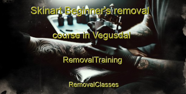 Skinart Beginner's removal course in Vegusdal | RemovalTraining | RemovalClasses | SkinartTraining-Norway