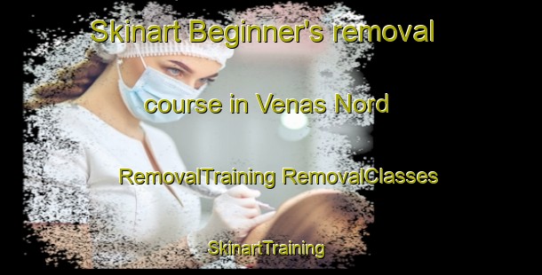 Skinart Beginner's removal course in Venas Nord | #RemovalTraining #RemovalClasses #SkinartTraining-Norway