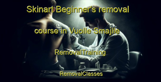 Skinart Beginner's removal course in Vuolle Smajlle | RemovalTraining | RemovalClasses | SkinartTraining-Norway