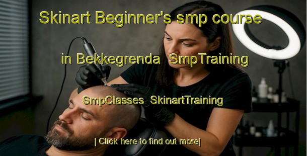 Skinart Beginner's smp course in Bekkegrenda | SmpTraining | SmpClasses | SkinartTraining-Norway