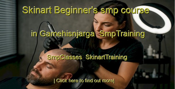Skinart Beginner's smp course in Gamehisnjarga | SmpTraining | SmpClasses | SkinartTraining-Norway