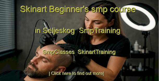 Skinart Beginner's smp course in Seljeskog | SmpTraining | SmpClasses | SkinartTraining-Norway