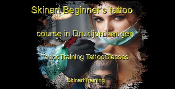 Skinart Beginner's tattoo course in Druktjornhaugen | #TattooTraining #TattooClasses #SkinartTraining-Norway