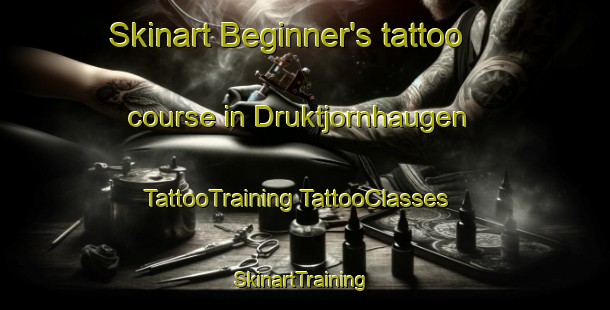 Skinart Beginner's tattoo course in Druktjornhaugen | #TattooTraining #TattooClasses #SkinartTraining-Norway