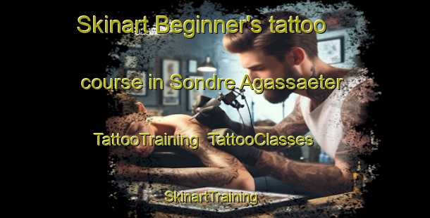 Skinart Beginner's tattoo course in Sondre Agassaeter | TattooTraining | TattooClasses | SkinartTraining-Norway