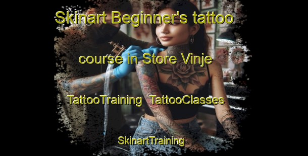 Skinart Beginner's tattoo course in Store Vinje | TattooTraining | TattooClasses | SkinartTraining-Norway