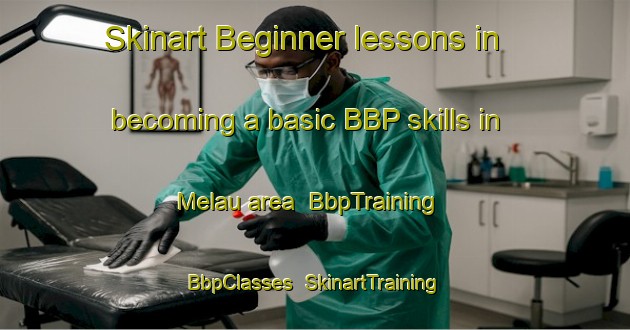 Skinart Beginner lessons in becoming a basic BBP skills in Melau area | BbpTraining | BbpClasses | SkinartTraining-Norway