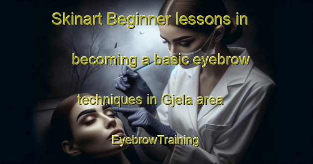Skinart Beginner lessons in becoming a basic eyebrow techniques in Gjela area | EyebrowTraining | EyebrowClasses | SkinartTraining-Norway