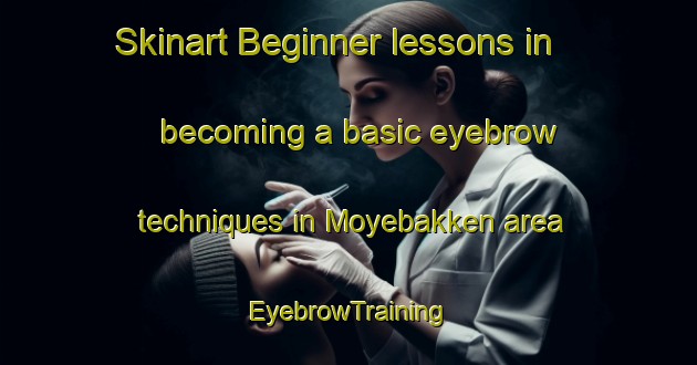 Skinart Beginner lessons in becoming a basic eyebrow techniques in Moyebakken area | EyebrowTraining | EyebrowClasses | SkinartTraining-Norway