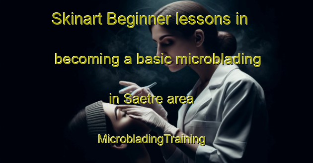 Skinart Beginner lessons in becoming a basic microblading in Saetre area | MicrobladingTraining | MicrobladingClasses | SkinartTraining-Norway