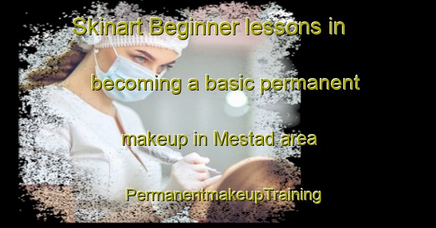 Skinart Beginner lessons in becoming a basic permanent makeup in Mestad area | PermanentmakeupTraining | PermanentmakeupClasses | SkinartTraining-Norway