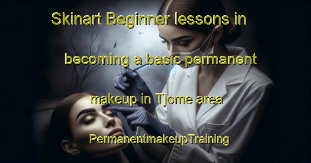 Skinart Beginner lessons in becoming a basic permanent makeup in Tjome area | PermanentmakeupTraining | PermanentmakeupClasses | SkinartTraining-Norway