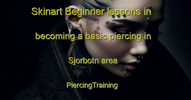 Skinart Beginner lessons in becoming a basic piercing in Sjorbotn area | PiercingTraining | PiercingClasses | SkinartTraining-Norway