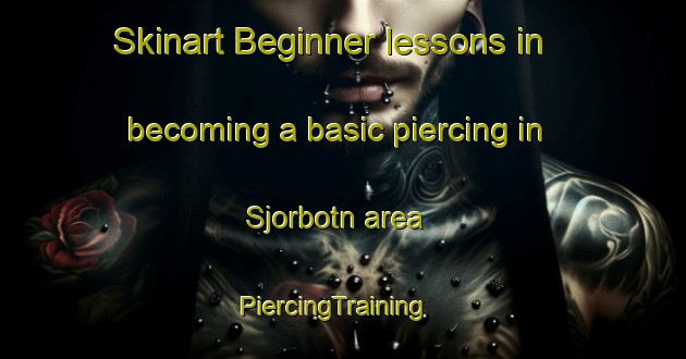 Skinart Beginner lessons in becoming a basic piercing in Sjorbotn area | PiercingTraining | PiercingClasses | SkinartTraining-Norway