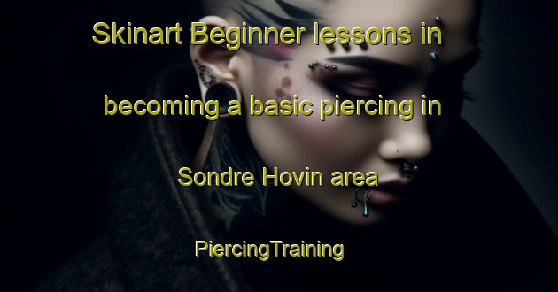 Skinart Beginner lessons in becoming a basic piercing in Sondre Hovin area | PiercingTraining | PiercingClasses | SkinartTraining-Norway
