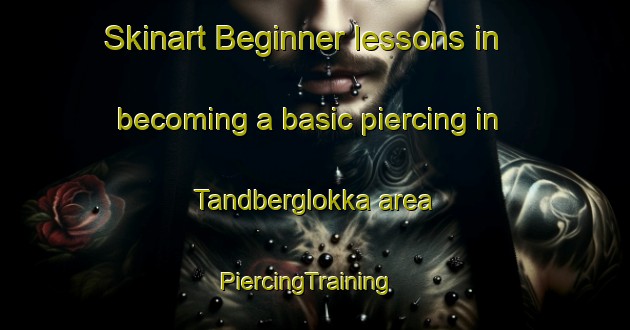 Skinart Beginner lessons in becoming a basic piercing in Tandberglokka area | PiercingTraining | PiercingClasses | SkinartTraining-Norway