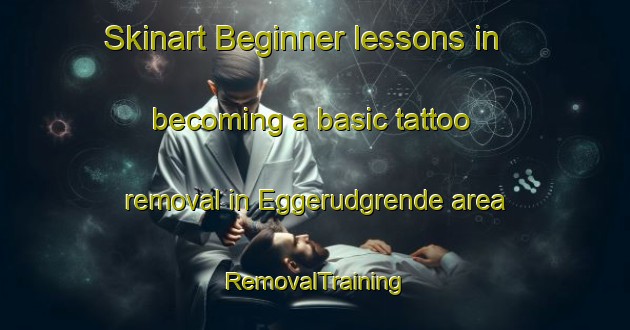 Skinart Beginner lessons in becoming a basic tattoo removal in Eggerudgrende area | RemovalTraining | RemovalClasses | SkinartTraining-Norway