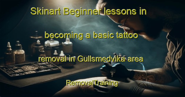 Skinart Beginner lessons in becoming a basic tattoo removal in Gullsmedvika area | RemovalTraining | RemovalClasses | SkinartTraining-Norway